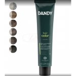 Dandy HAIR COLOR bezamoniaková pánská barva na vlasy 60 ml - D0.18 Silver Light – Zboží Dáma