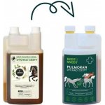 Leros Sirup Pulmoran Horse 1 l – Hledejceny.cz