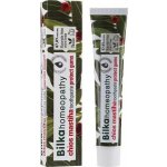 Bilka homeopatická Chios Mastiha 75 ml – Hledejceny.cz