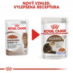Royal Canin Feline Ageing 12 + Jelly 12 x 85 g – Hledejceny.cz