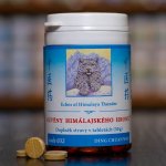 TCM Herbs Ozvěny himálajského hromu 100 tablet – Hledejceny.cz