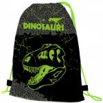 Karton P+P Premium Dinosaurus – Hledejceny.cz