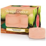 Yankee Candle Delicious Guava 12 x 9,8 g – Zbozi.Blesk.cz