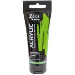 Rosa Akrylová barva 611 green light 60 ml – Zboží Dáma