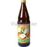 Bionebio JABLEČNÝ OCET NEPASTERIZOVANÝ BIO 750ml – Zboží Dáma