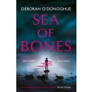 Sea of Bones: an atmospheric psychological thriller with a compelling female lead