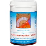 TCM Herbs Vánek hedvábného vějíře 100 tablet – Hledejceny.cz