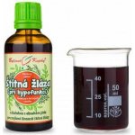 Bylinné kapky Štítná žláza hyperfunkce kapky 50 ml – Hledejceny.cz