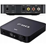 FiiO K11 R2R – Zboží Živě