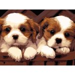 Titanum Malování podle čísel na plátno ŠTĚŇATA 30 x 40 cm – Sleviste.cz