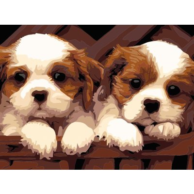 Titanum Malování podle čísel na plátno ŠTĚŇATA 30 x 40 cm – Sleviste.cz