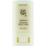 Beauty Of Joseon Matte Sun Stick Mugwort + Camelia opalovací krém v tyčince SPF50+ 18 g – Zboží Dáma