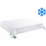 Brotex přikrývka Aloe Vera zimní 1980g 200x220 – Zboží Dáma Brotex přikrývka Aloe Vera zimní 1980g 200x220 – Zboží Dáma
