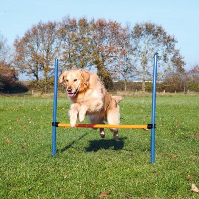 Trixie Agility překážka na přeskakování 123 x 115 x 3 cm – Zboží Mobilmania