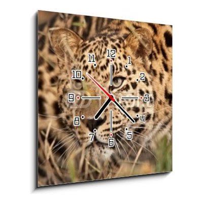 Obraz s hodinami 1D - 50 x 50 cm - Leopard Hunting Leopard lov