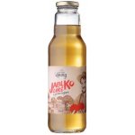 Ovocný mošt Moštárna Louny Jablko čiré 750 ml – Zboží Dáma