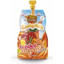 Mošt Ovocňák Mošt Jablko rakytník 250 ml