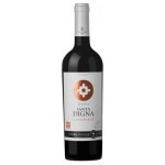 Santa Digna Gran Reserva Carmenere 2023 14% 0,75 l (holá láhev) – Sleviste.cz