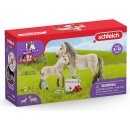 Schleich 42430 Set první pomoci pro islandské hříbě a klisna