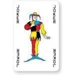 Canasta v plastovém boxu – Sleviste.cz