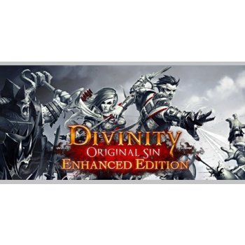 Divinity Original Sin