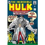 Mighty Marvel Masterworks: The Incredible Hulk Vol. 1: The Green Goliath Lee StanPaperback – Hledejceny.cz