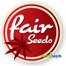 Fair Seeds Auto Grapefruit semena neobsahují THC 3 ks