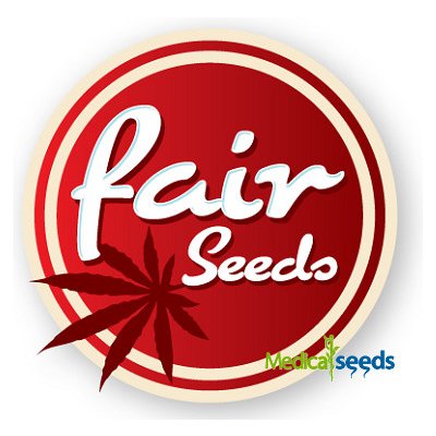 Fair Seeds Cheese semena neobsahují THC 5 ks