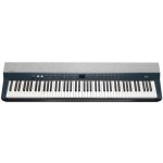 Kurzweil Ka P1 – Hledejceny.cz