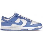 Nike Dunk Low Racer Blue Photon Dust FN3416-001 – Hledejceny.cz