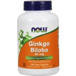 Now Foods Ginkgo Biloba 60 mg 240 kapslí – Hledejceny.cz