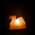 Solnalampa.cz Solná lampa - velbloud 3,5 kg (+/- 0,4 kg) – Zboží Dáma