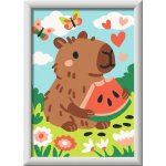 RAVENSBURGER Malování podle čísel Kapybara 13 x 18 cm – Hledejceny.cz