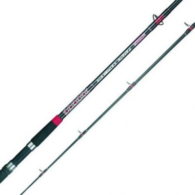 Mivardi Fanatic Catfish 3 m 200-400 g 2 díly – Zbozi.Blesk.cz