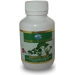 Australian Remedy Ginkgo 2500 100 kapslí – Hledejceny.cz