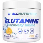ALLNUTRITION Glutamine Recovery Amino 250 g – Hledejceny.cz