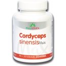 Maxivitalis Cordyceps sinensis max 110 tablet