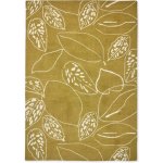 Brink & Campman Scion Orto Citrus 124406 – Hledejceny.cz