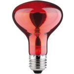 Paulmann Reflektorová žárovka R80 60W E27 230V infračervená 82977 – Hledejceny.cz