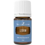 Young Living Rojovník (Ledum) esenciální olej 5 ml – Hledejceny.cz