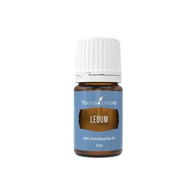 Young Living Rojovník (Ledum) esenciální olej 5 ml – Hledejceny.cz