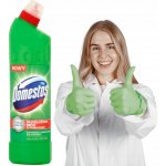 Domestos Fresh WC čistič Pine 750 ml – Zboží Mobilmania