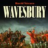 Audiokniha Wavesbury - Návara David