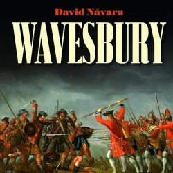 Wavesbury - Návara David