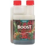 Canna Boost Accelerator 250 ml – Hledejceny.cz