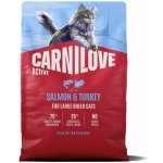 Carnilove Active Kittens Salmon and Turkey 6 kg – Zboží Dáma