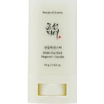Beauty Of Joseon Matte Sun Stick Mugwort + Camelia opalovací krém v tyčince SPF50+ 18 g – Zboží Mobilmania