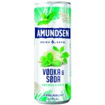 Amundsen + Soda bezinka 6% 0,25 l (plech) – Zboží Dáma