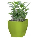 G21 Samozavlažovací květináč Cube mini zelený 13.5 cm – Zboží Dáma
