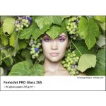 FOMEI A4, 50 listů, 265 g/m2 – Zboží Mobilmania
